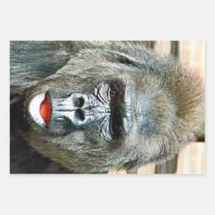 FEUILLE DE PAPIER CADEAU GORILLA FRAÎCHE
