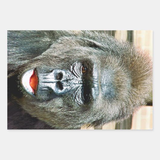FEUILLE DE PAPIER CADEAU GORILLA FRAÎCHE (Devant 3)