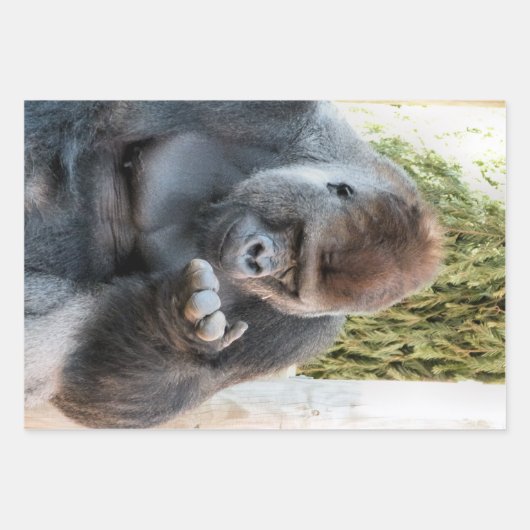FEUILLE DE PAPIER CADEAU GORILLA FRAÎCHE (Devant 3)