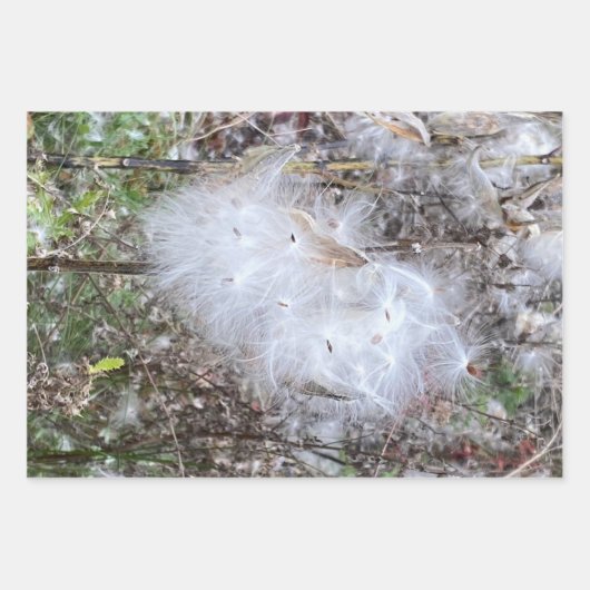 Feuille De Papier Cadeau Graines et soie d'algues (Devant)