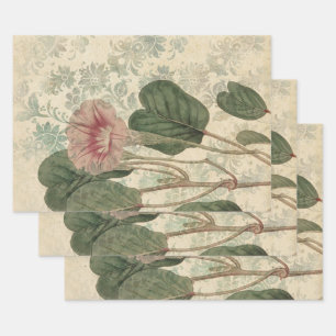 Feuille De Papier Cadeau Grand floral rose Vintage