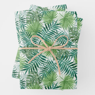 Feuille De Papier Cadeau Grand palmier vert et Plantes tropicaux de Monster