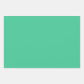 Feuille De Papier Cadeau Green Chevron (Devant 3)