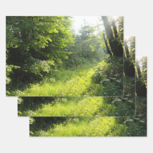 Feuille De Papier Cadeau Green Forest Meadow