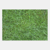 Feuille De Papier Cadeau Green Grass (Devant)