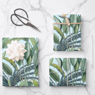 Feuille De Papier Cadeau Green Tropical Jungle Banana Tree Strelitzia