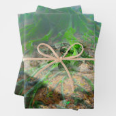 Feuille De Papier Cadeau Grenouille verte (En situation)