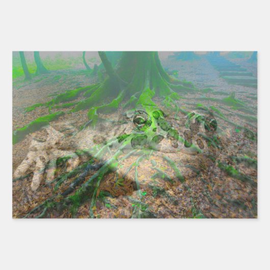Feuille De Papier Cadeau Grenouille verte (Devant)