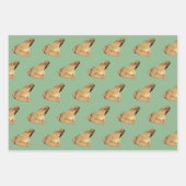 Feuille De Papier Cadeau Grenouilles (Devant)