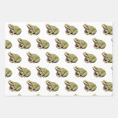 Feuille De Papier Cadeau Grenouilles (Devant)