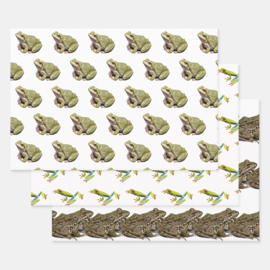 Feuille De Papier Cadeau Grenouilles (Lot)