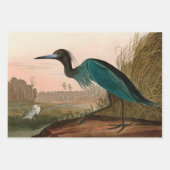 Feuille De Papier Cadeau Grue bleue ou Heron Birds of America Audubon Impri (Devant 2)