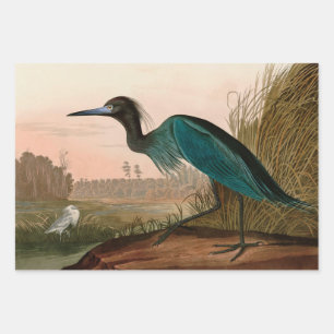 Feuille De Papier Cadeau Grue bleue ou Heron Birds of America Audubon Impri