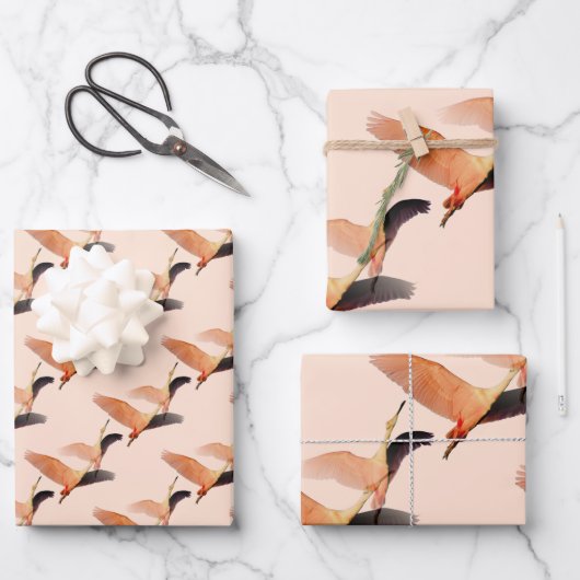 Feuille De Papier Cadeau Grue japonaise (Recto)