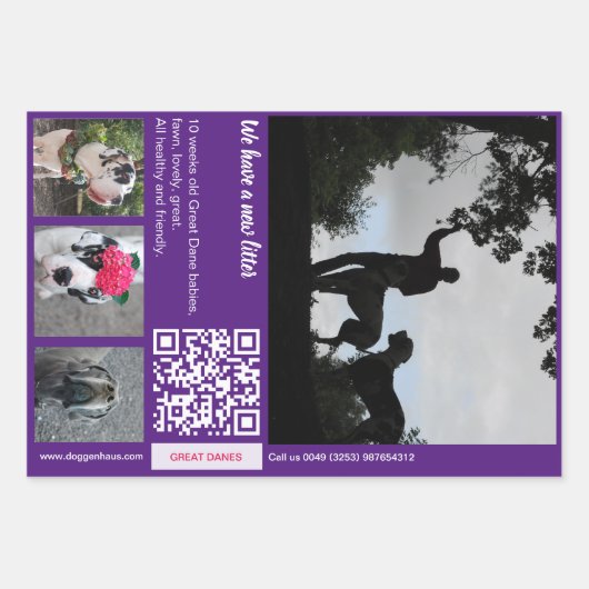 Feuille De Papier Cadeau Hack wrapper : Chiot de vente promotionnelle (Devant)