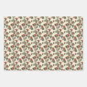 Feuille De Papier Cadeau Hackberry (Devant 2)