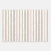 Feuille De Papier Cadeau Hamptons Duck Egg Blue & Sage Stripes (Devant 3)