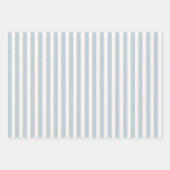 Feuille De Papier Cadeau Hamptons Duck Egg Blue & Sage Stripes (Devant 2)