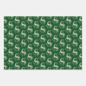 Feuille De Papier Cadeau Harry Potter | Aquarelle SLYTHERIN™ (Devant 2)