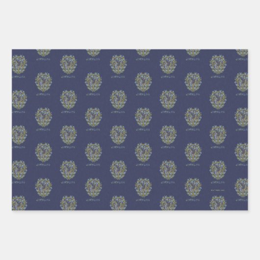 Feuille De Papier Cadeau HARRY POTTER™ | Crest RAVENCLAW™ (Devant)