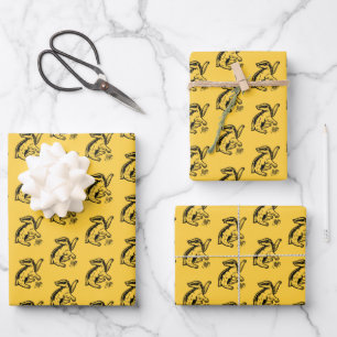 Feuille De Papier Cadeau Harry Potter   Icône Badger Hufflepuff
