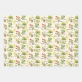 Feuille De Papier Cadeau Hawaii Volcano Native Plants Wrapping Paper (Devant)