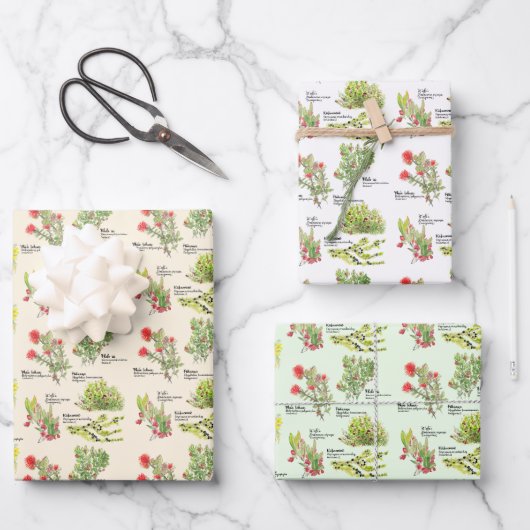 Feuille De Papier Cadeau Hawaii Volcano Native Plants Wrapping Paper (Recto)