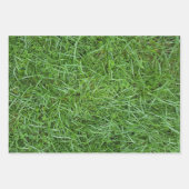 Feuille De Papier Cadeau Herbe Verte (Devant 3)