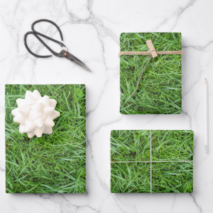 Feuille De Papier Cadeau Herbe Verte