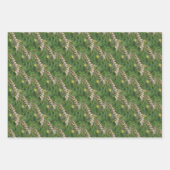Feuille De Papier Cadeau Herbes séchées Motif de la nature (Devant 2)