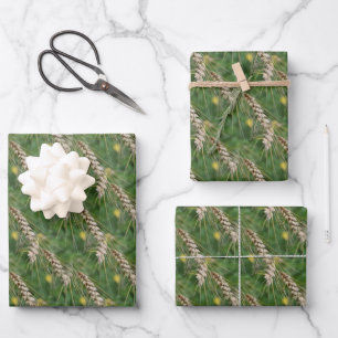 Feuille De Papier Cadeau Herbes séchées Motif de la nature