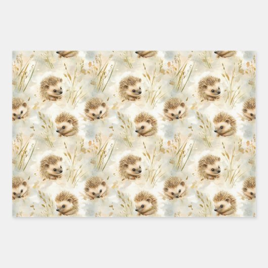 Feuille De Papier Cadeau Hérisson de bébé (Devant)