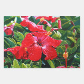 Feuille De Papier Cadeau Hibiscus rouge Mele Kalikimaka (Devant 3)