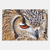 FEUILLE DE PAPIER CADEAU HIBOU (Devant 2)