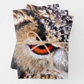 FEUILLE DE PAPIER CADEAU HIBOU (En situation)