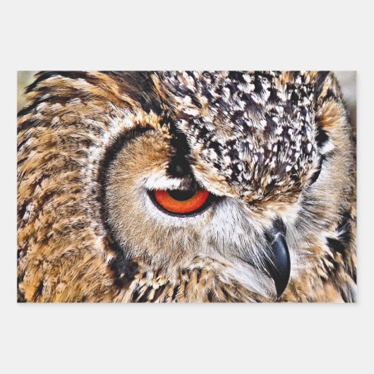 FEUILLE DE PAPIER CADEAU HIBOU (Devant)