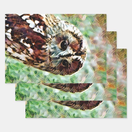 FEUILLE DE PAPIER CADEAU HIBOU (Lot)