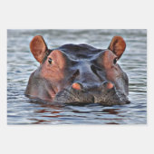 Feuille De Papier Cadeau hippo (Devant 3)