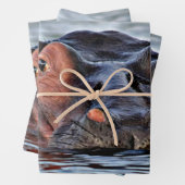 Feuille De Papier Cadeau hippo (En situation)