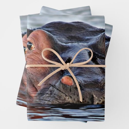 Feuille De Papier Cadeau hippo (En situation)