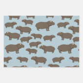 Feuille De Papier Cadeau Hippopotame Hippo Motif (Devant)