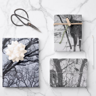 Feuille De Papier Cadeau Hiver noir et blanc Nature Animaux sauvages Cerf