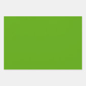 Feuille De Papier Cadeau Holly Jolly Rouge et Green Holiday Solides (Devant 2)