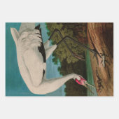 Feuille De Papier Cadeau Hooping Crane Birds of America Audubon Print (Devant 3)