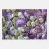 Feuille De Papier Cadeau Hydrangea Purple Botanique Floral Photographique (Devant 3)