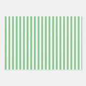 Feuille De Papier Cadeau Iguana Vert & Rayures Blanches (Devant 2)