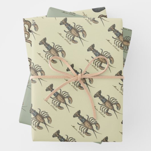 Feuille De Papier Cadeau Illustration de homard, fruits de mer du Maine (En situation)