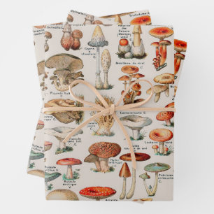 Feuille De Papier Cadeau Illustration I du champignon vintage