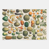 Feuille De Papier Cadeau Illustration scientifique végétale des fruits (Devant)