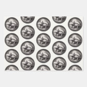 Feuille De Papier Cadeau Illustration Vintage Axolotl (Devant)